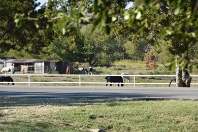 312 E Tripp Road, Sunnyvale, TX 75182 - Photo 7