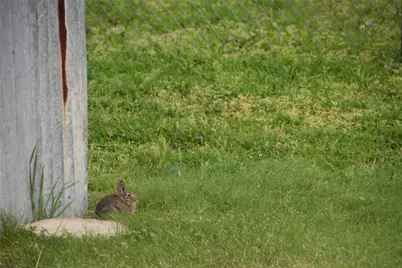 312 E Tripp Road, Sunnyvale, TX 75182 - Photo 31