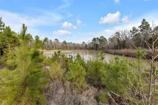 6949 FM852, Winnsboro, TX 75494 - Photo 33