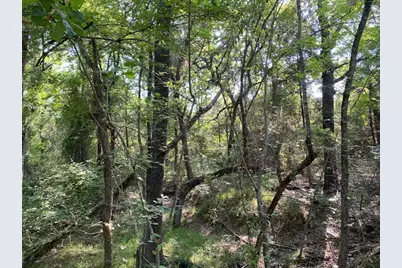 Tr 4-A Cr 41514, Athens, TX 75751 - Photo 5