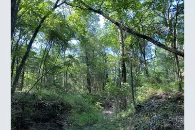 Tr 3-A Cr 41514, Athens, TX 75751 - Photo 3