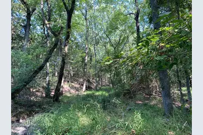 Tr 3-B Cr 41514, Athens, TX 75751 - Photo 3