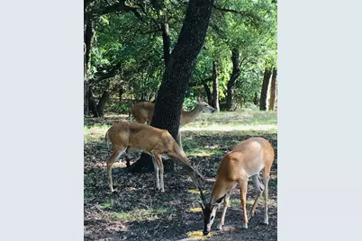36064 Cedar Ridge Drive, Whitney, TX 76692 - Photo 19