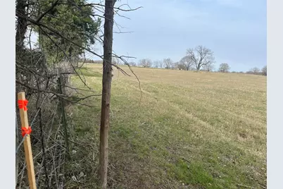 Tbd NW Cr 4010, Blooming Grove, TX 76626 - Photo 7
