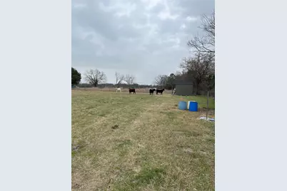 Tbd NW Cr 4010, Blooming Grove, TX 76626 - Photo 23