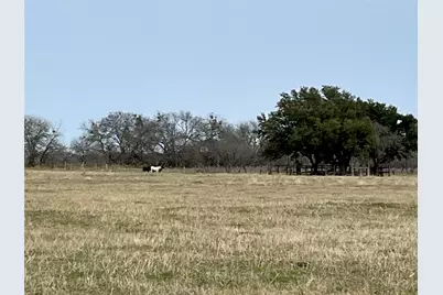 Tbd NW Cr 4010, Blooming Grove, TX 76626 - Photo 7