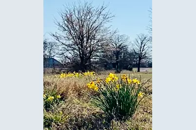 Lot 6 Fm 900, Saltillo, TX 75478 - Photo 9