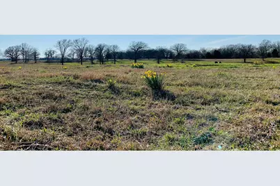Lot 6 Fm 900, Saltillo, TX 75478 - Photo 7