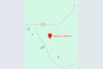 16061 County Road 107, Mingus, TX 76463 - Photo 3