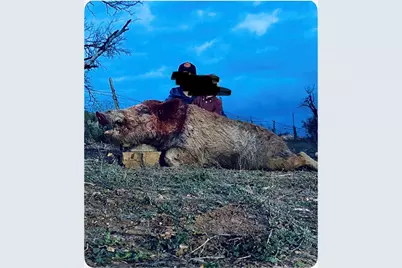 8108 Fm2111, Winters, TX 79567 - Photo 39