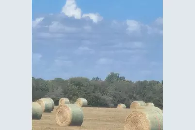 Tbd Fm 3486 #1, Terrell, TX 75160 - Photo 7