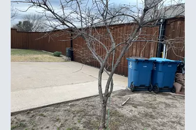 3909 Catalina Street, Rowlett, TX 75088 - Photo 31