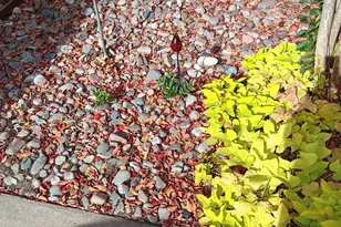 2848 Oakbriar Trail, Fort Worth, TX 76109 - Photo 39