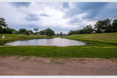 Lot 221 Section H Geronimo, Quitman, TX 75783 - Photo 13