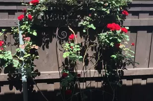 672 Channel Ridge Dr, Rockwall, TX 75087 - Photo 23