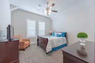 1113 Chambers Creek Cv, McKinney, TX 75071 - Photo 21