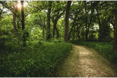 1113 Chambers Creek Cove, McKinney, TX 75071 - Photo 29