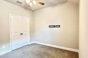 6004 Horsetail Dr, McKinney, TX 75071 - Photo 23