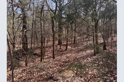 6484 State Highway 56, Bells, TX 75414 - Photo 33