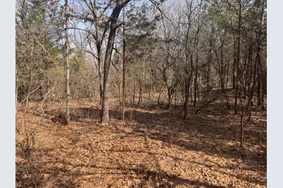 6484 State Highway 56, Bells, TX 75414 - Photo 35