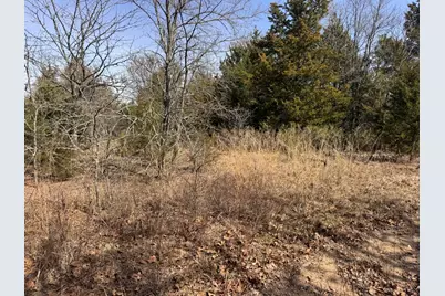 6484 State Highway 56, Bells, TX 75414 - Photo 21