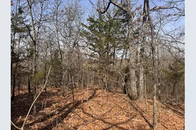 6484 State Highway 56, Bells, TX 75414 - Photo 29