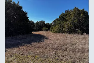 43096 Coneflower, Whitney, TX 76692 - Photo 3