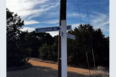 43096 Coneflower, Whitney, TX 76692 - Photo 5