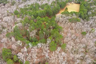 2360 Co Rd 4660, Winnsboro, TX 75494 - Photo 27