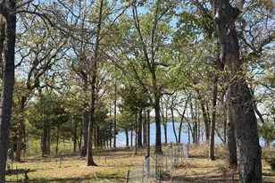 985 Indian Gap, Quitman, TX 75783 - Photo 17