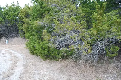 25052 Woodmont Court, Whitney, TX 76692 - Photo 7