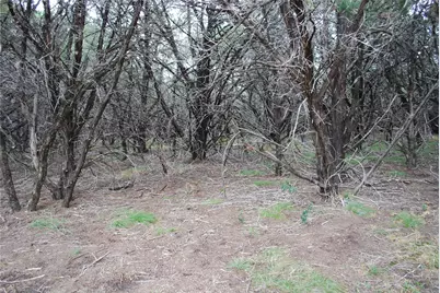 25052 Woodmont Court, Whitney, TX 76692 - Photo 13