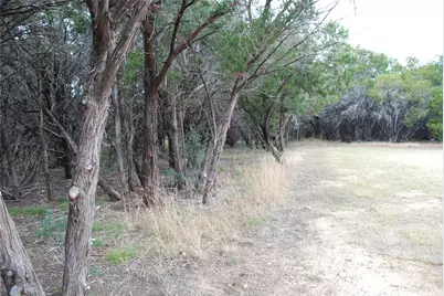 25052 Woodmont Court, Whitney, TX 76692 - Photo 15