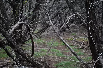 25052 Woodmont Court, Whitney, TX 76692 - Photo 3