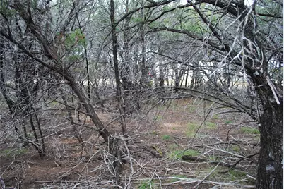 25052 Woodmont Court, Whitney, TX 76692 - Photo 5