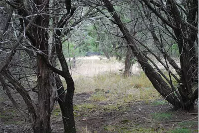 25052 Woodmont Court, Whitney, TX 76692 - Photo 11