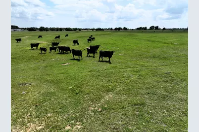 800 Vz County Road 2807, Mabank, TX 75147 - Photo 9