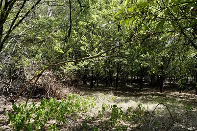 1407 W Maple, Goldthwaite, TX 76844 - Photo 5