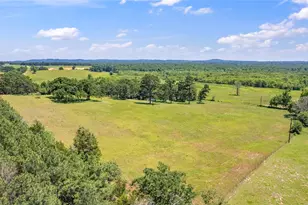 12250 Co Rd 3513, Brownsboro, TX 75756 - Photo 15