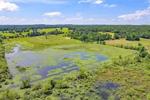 12250 Co Rd 3513, Brownsboro, TX 75756 - Photo 7