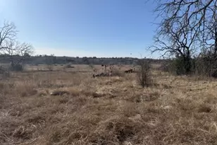 7582 FM 205, Glen Rose, TX 76433 - Photo 5