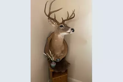 Tbd County Road 310, Jonesboro, TX 76585 - Photo 39