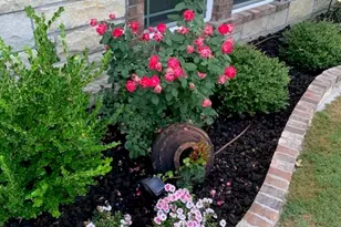 793 County Road 2535 Rd, Decatur, TX 76234 - Photo 37