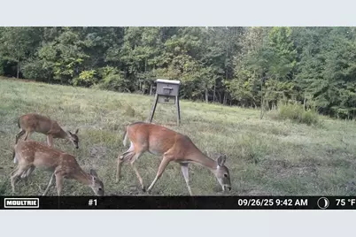 429 County Road 4736, Cumby, TX 75433 - Photo 39