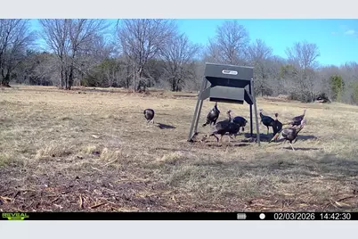 14360 Cr 156, Bluff Dale, TX 76433 - Photo 15