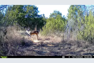 14360 Cr 156, Bluff Dale, TX 76433 - Photo 13