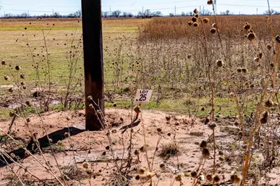 Tract 11 982 Derstine Road, Merkel, TX 79536 - Photo 17
