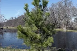 279 County Rd 137, Riesel, TX 76682 - Photo 39