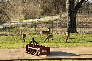 291 County Rd 3305, Clifton, TX 76634 - Photo 31