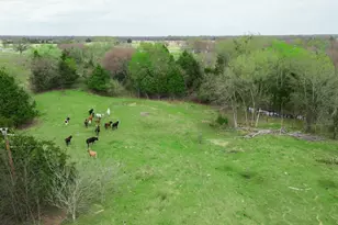 14699 Barfield Ln, Kaufman, TX 75142 - Photo 1